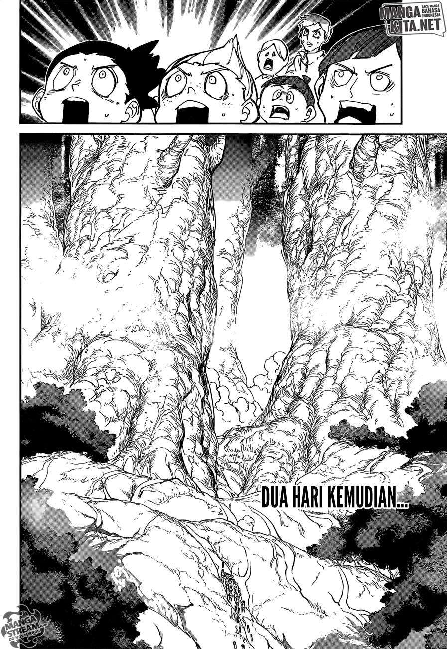The Promised Neverland Chapter 118 Image 5