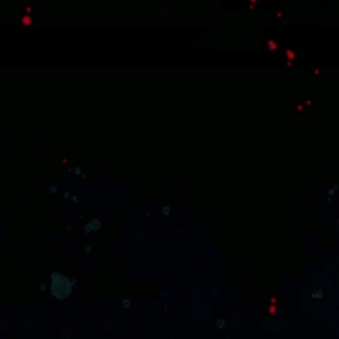 A Blank Slate Regression for the Idol That Lost His Original Mindset Chapter 12 Image 64