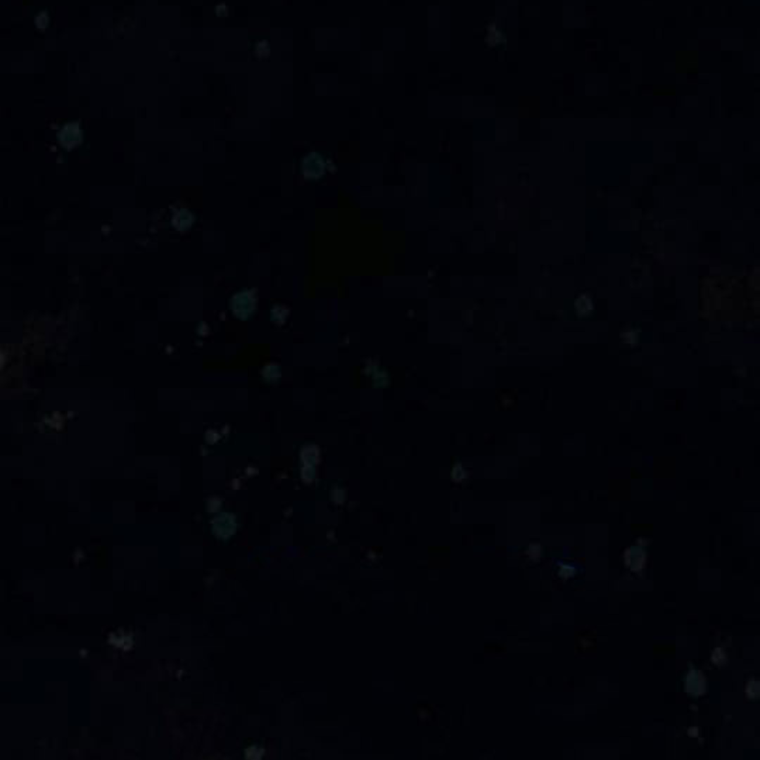 A Blank Slate Regression for the Idol That Lost His Original Mindset Chapter 12 Image 65