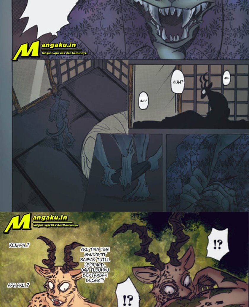 Beastars Chapter 174 Image 11