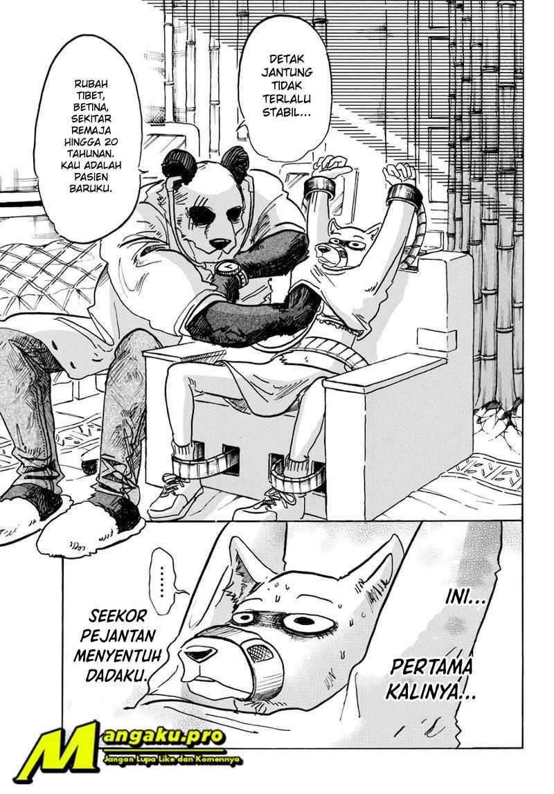 Beastars Chapter 82 Image 3