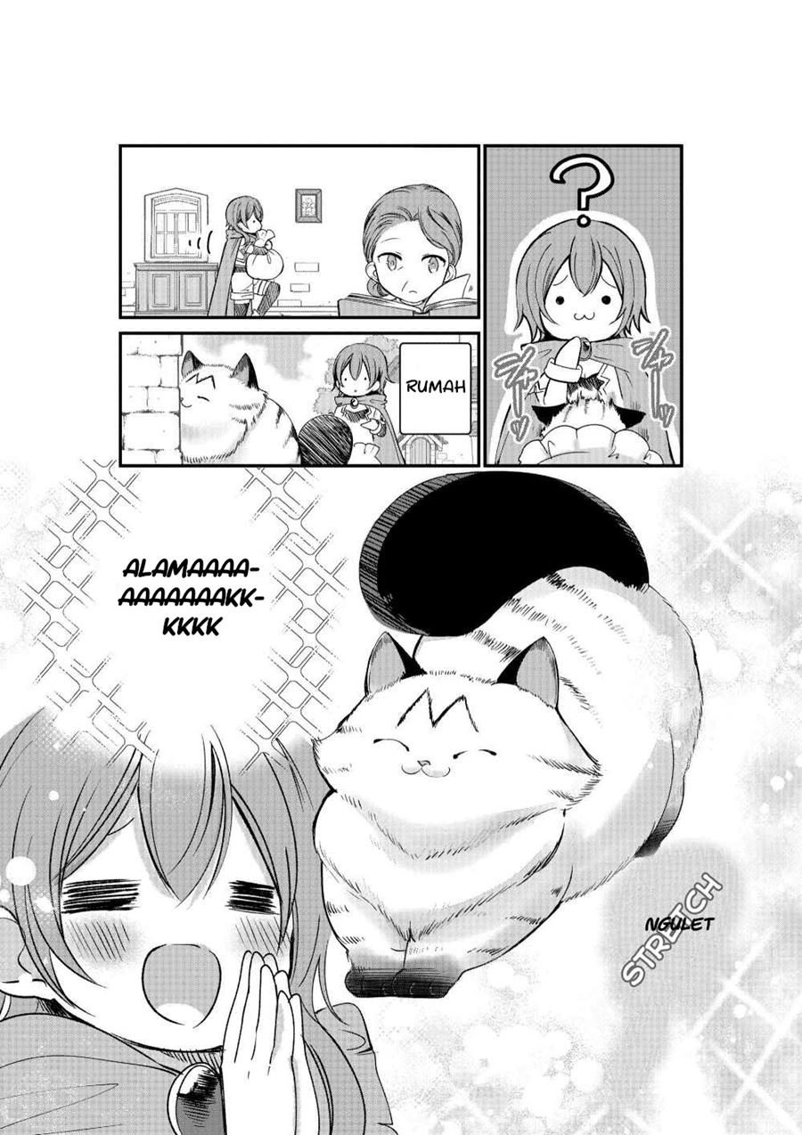 A Story about a Cat Reincarnated in a Different World Where There are no Cats Chapter 02 Image 3