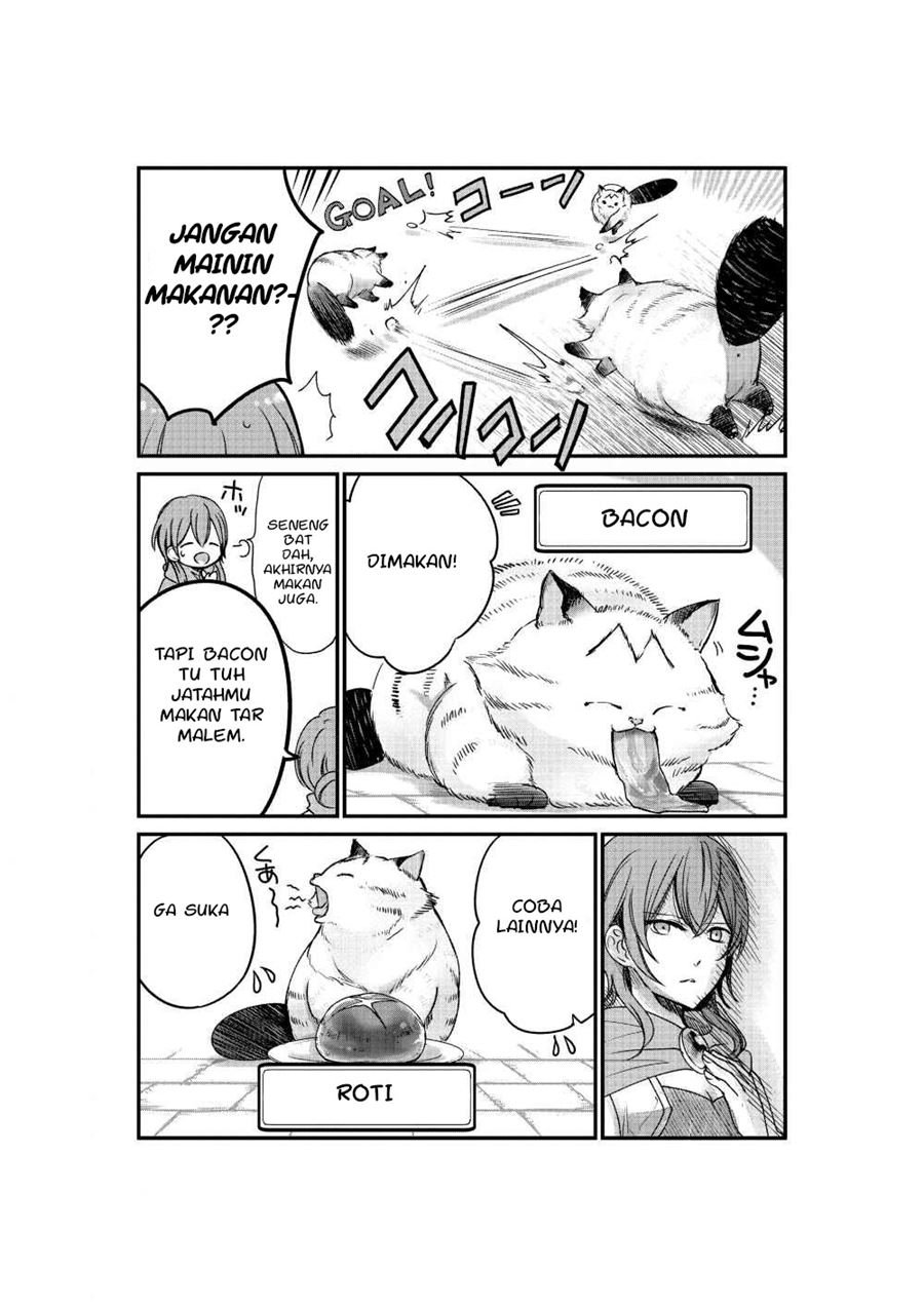 A Story about a Cat Reincarnated in a Different World Where There are no Cats Chapter 03 Image 3