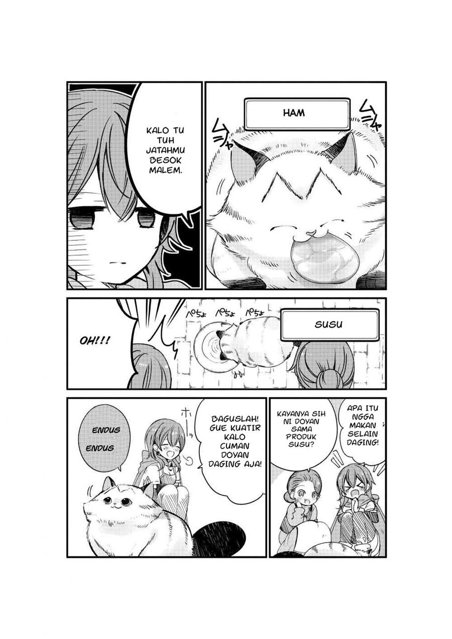 A Story about a Cat Reincarnated in a Different World Where There are no Cats Chapter 03 Image 4