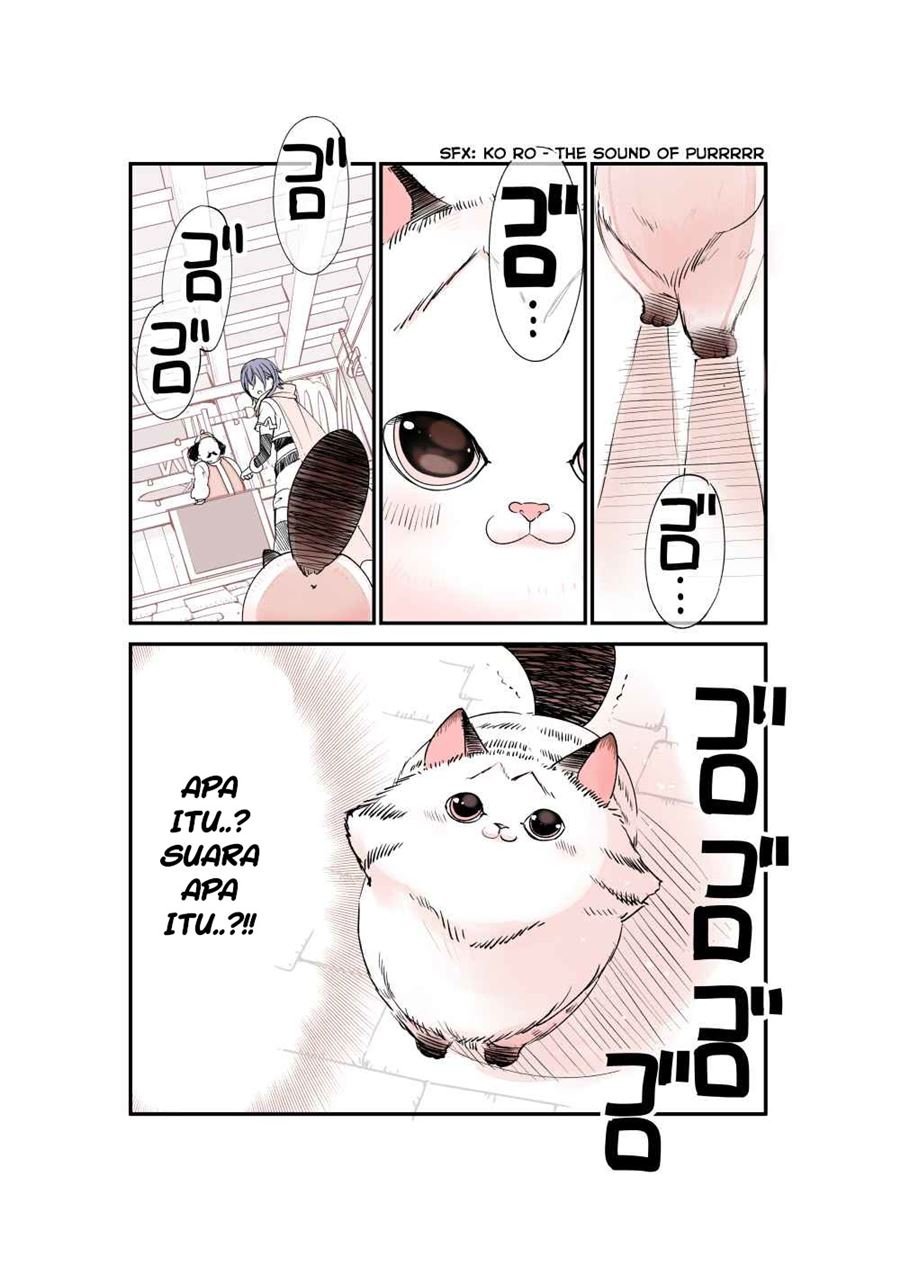 A Story about a Cat Reincarnated in a Different World Where There are no Cats Chapter 04 Image 4