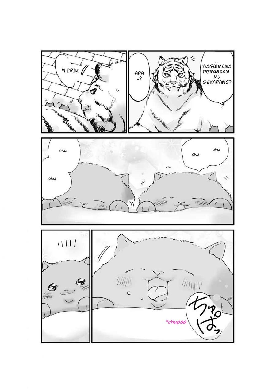 A Story about a Cat Reincarnated in a Different World Where There are no Cats Chapter 09 Image 4