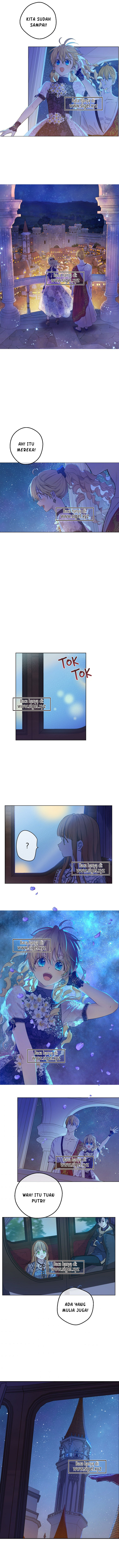 Who Made Me a Princess Chapter 114 Image 6