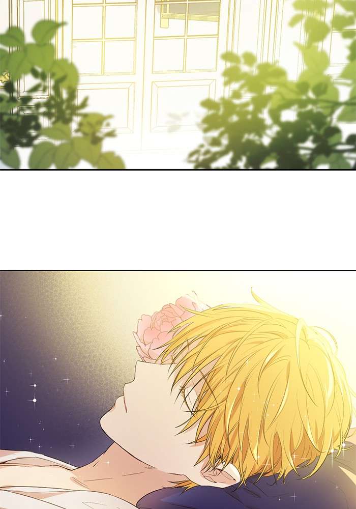 Who Made Me a Princess Chapter 37 Image 13