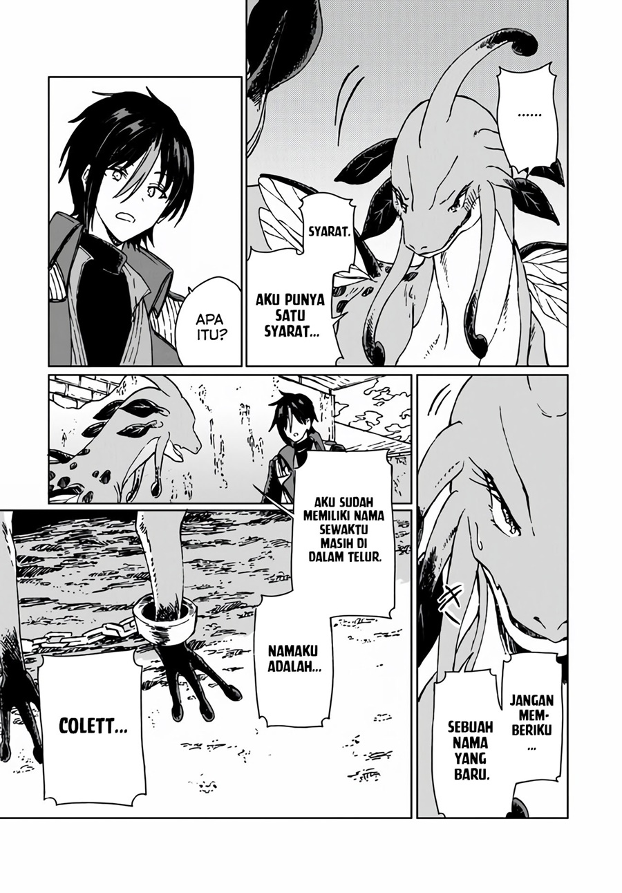 S-kyuu Guild wo Tsuihou saretakedo, Jitsu wa Ore dake Dragon no Kotoba ga Wakaru no de, Kidzuita Toki ni wa Ryuu Kishi no Chouten wo Kiwametemashita Chapter 06 Image 17