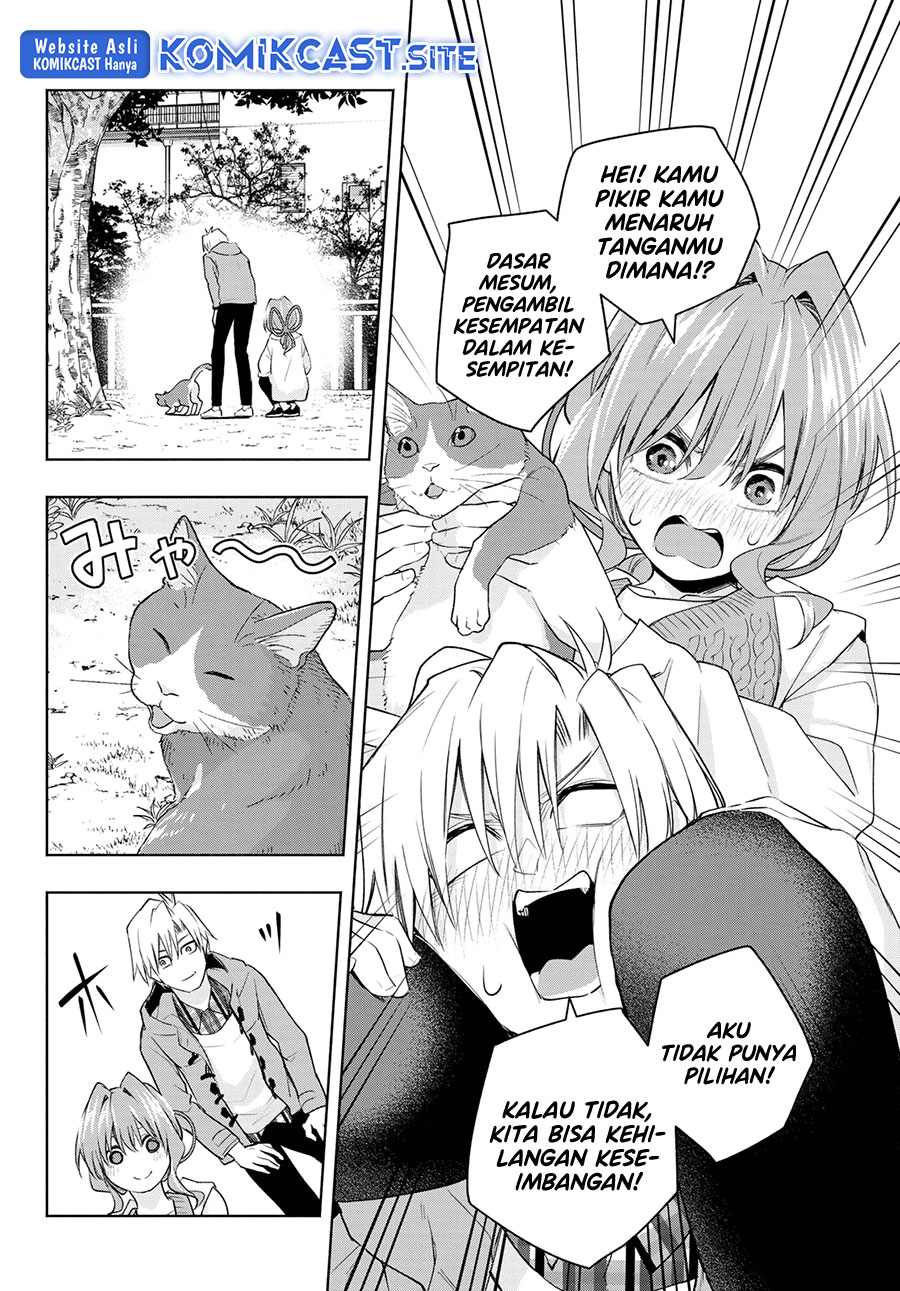 Amagami-san Chi no Enmusubi Chapter 87 Image 12