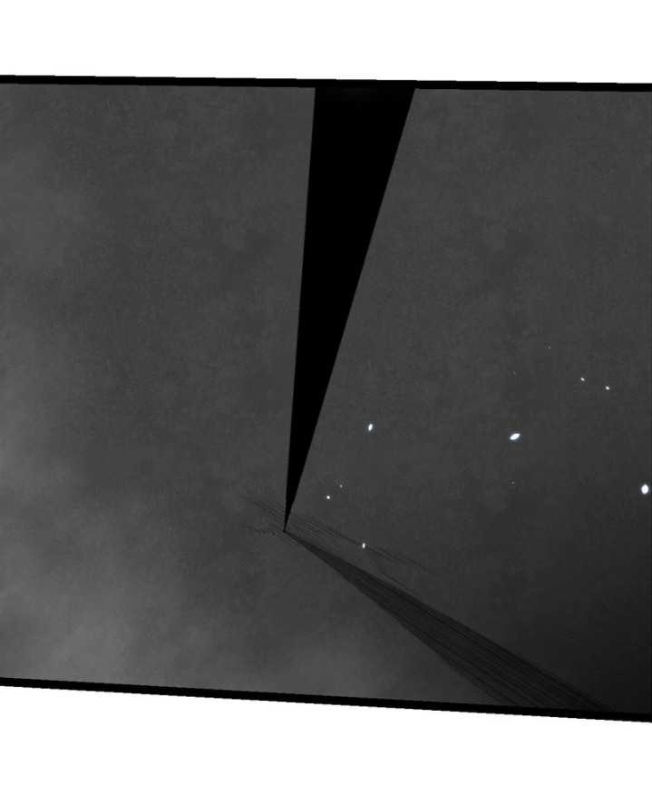 Evolution Begins With A Big Tree Chapter 332 Image 30