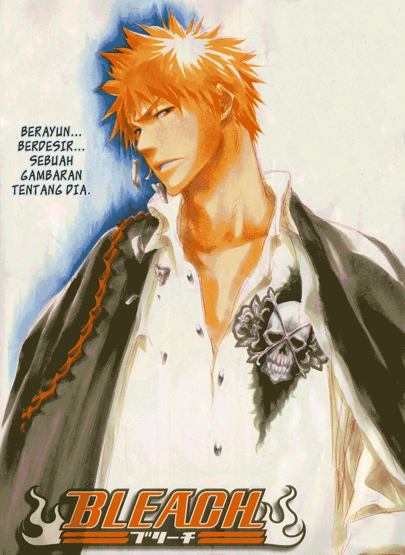 Bleach Chapter 323 Image 2