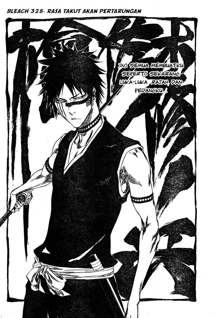 Bleach Chapter 325 Image 5