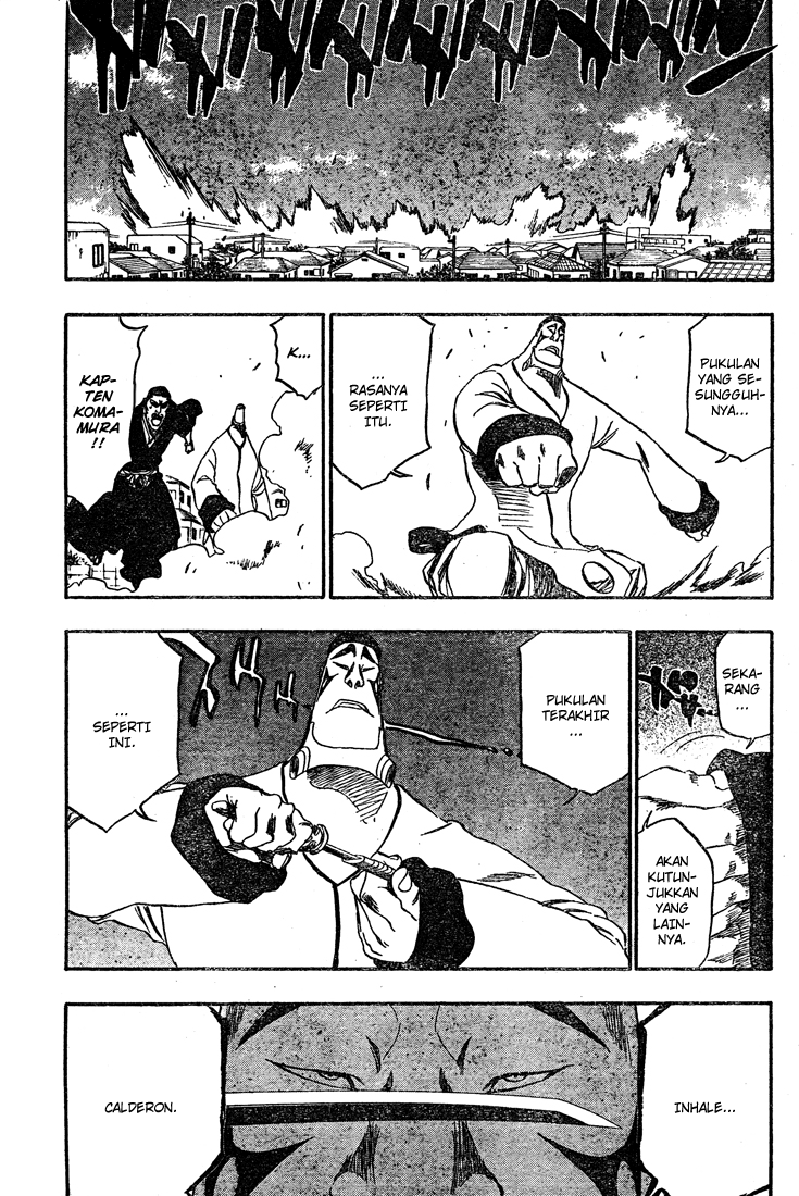 Bleach Chapter 326 Image 16