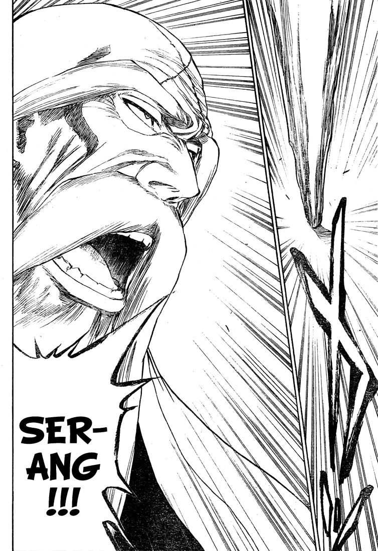 Bleach Chapter 329 Image 2