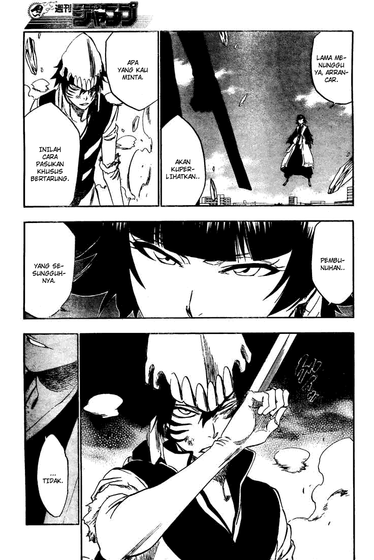 Bleach Chapter 333 Image 5
