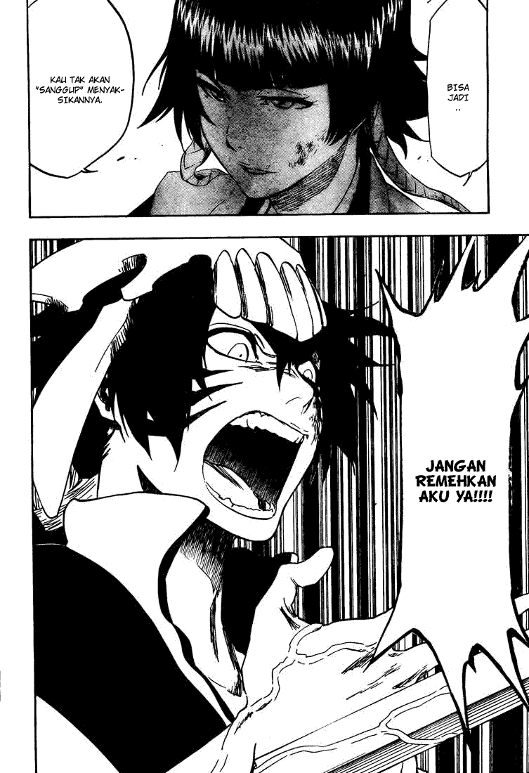 Bleach Chapter 333 Image 6