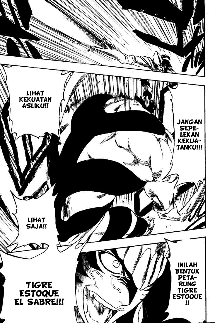 Bleach Chapter 333 Image 7