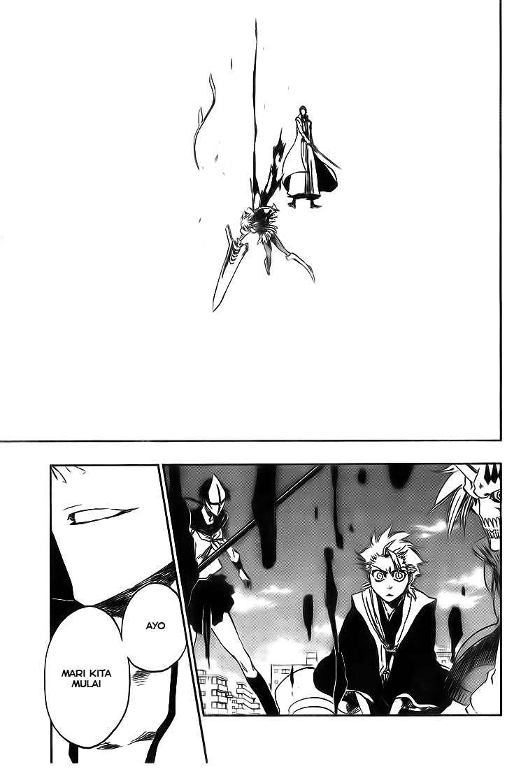 Bleach Chapter 376 Image 5