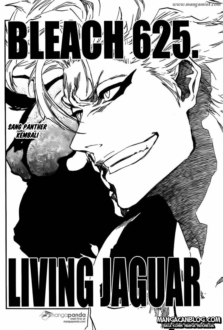 Bleach Chapter 625 Image 1