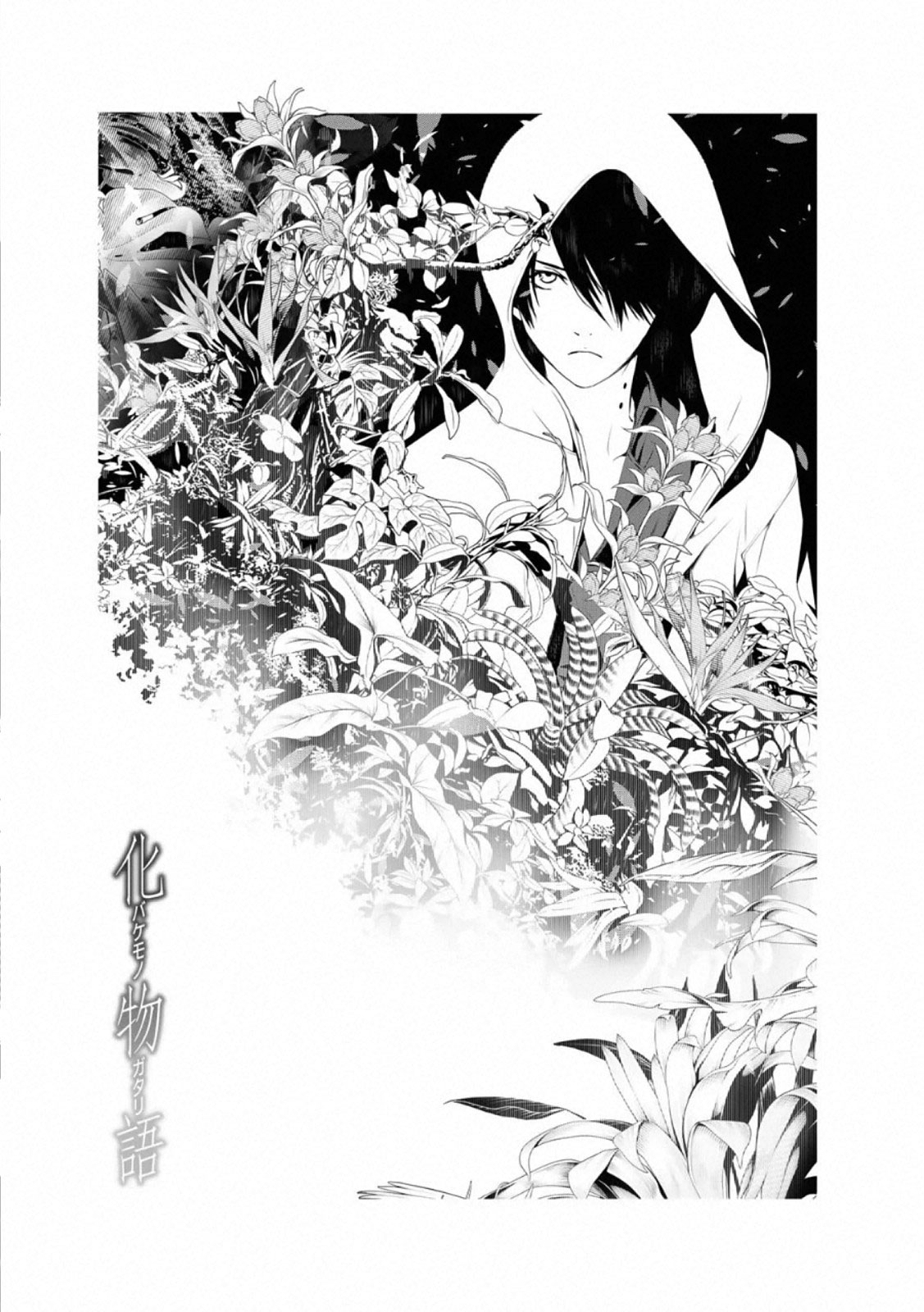 Bakemonogatari Chapter 105 Image 0