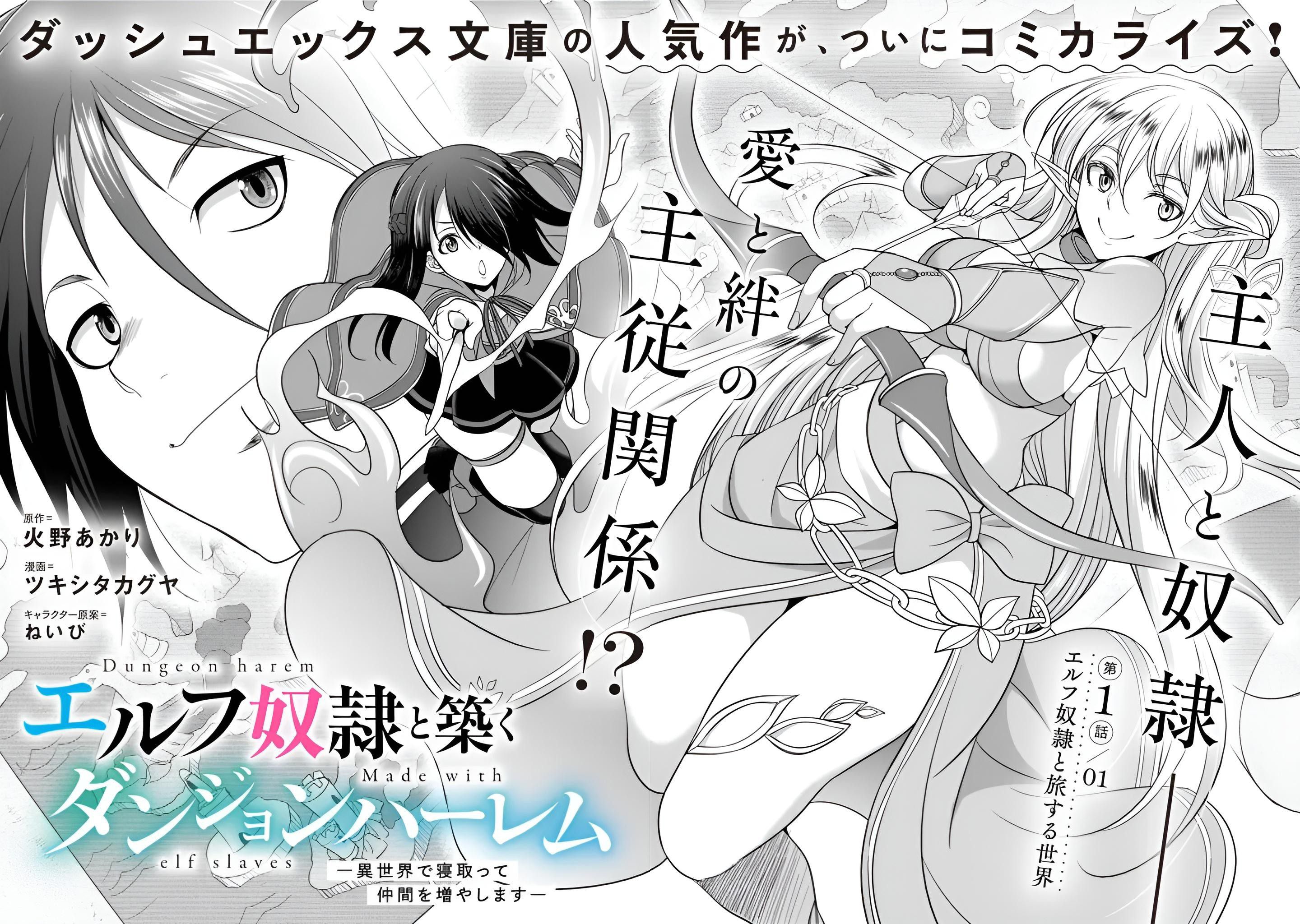 Dungeon Harem Made With Elf Slaves Chapter 1.1 Image 4