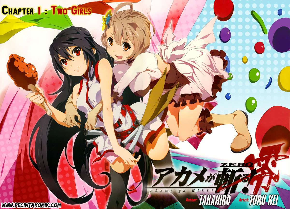Akame ga Kiru! Zero Chapter 1 Image 4