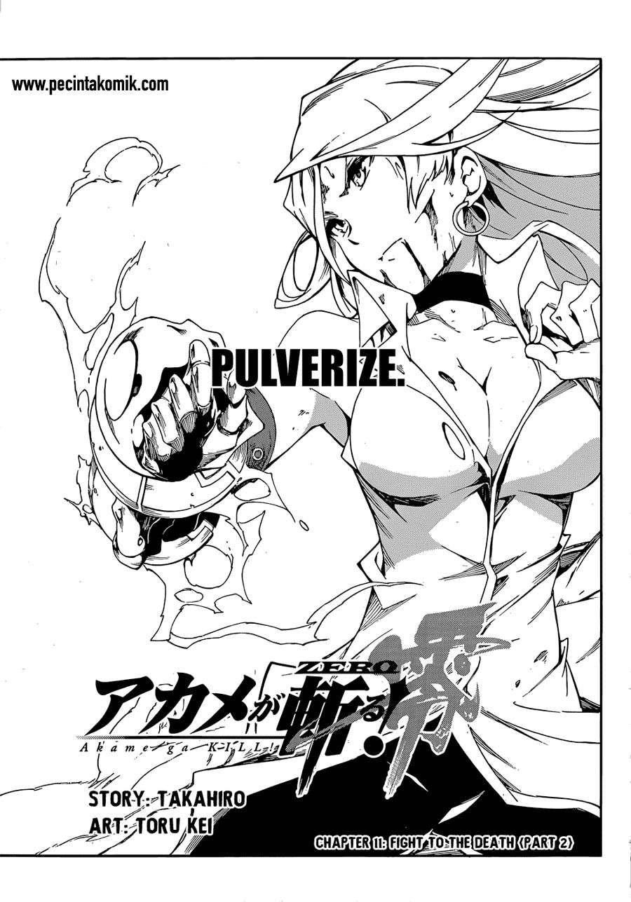 Akame ga Kiru! Zero Chapter 11 Image 2