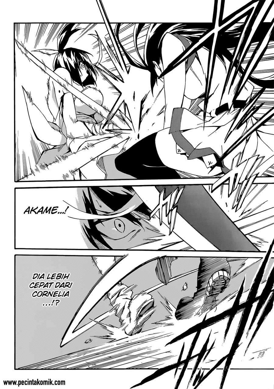 Akame ga Kiru! Zero Chapter 12 Image 15