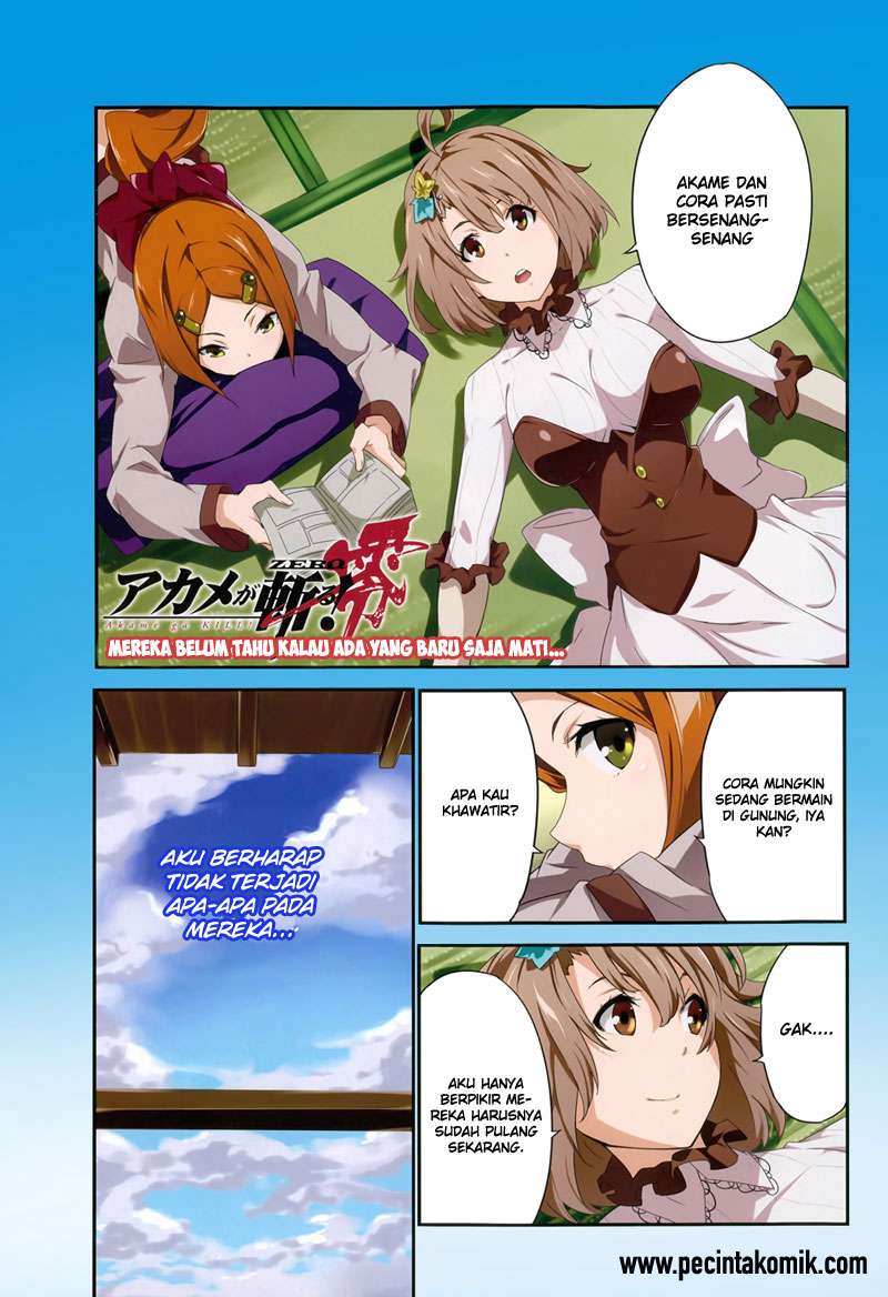 Akame ga Kiru! Zero Chapter 13 Image 4