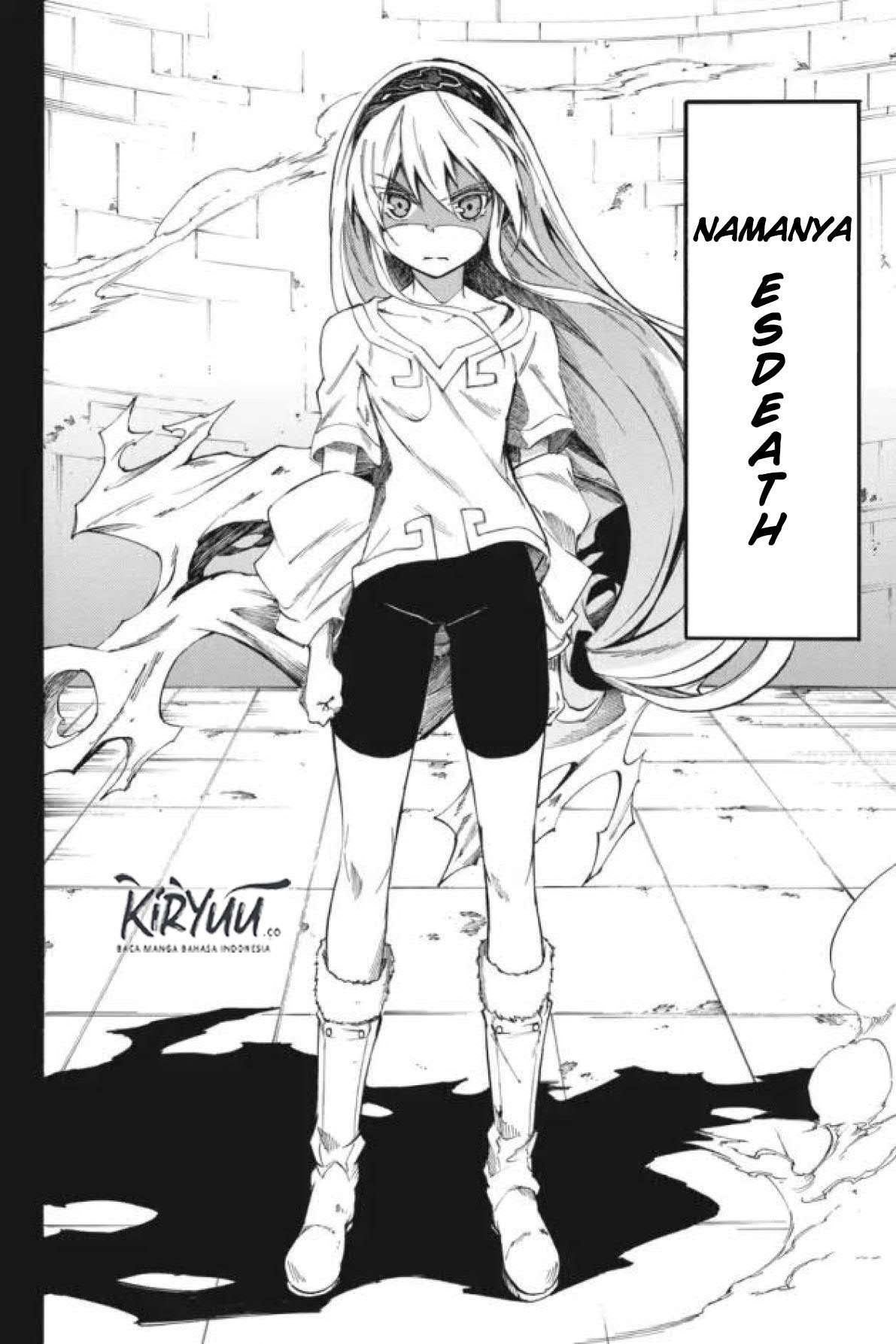 Akame ga Kiru! Zero Chapter 33 Image 5