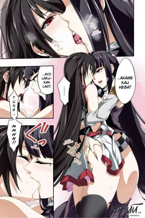 Akame ga Kiru! Zero Chapter 38 Image 3
