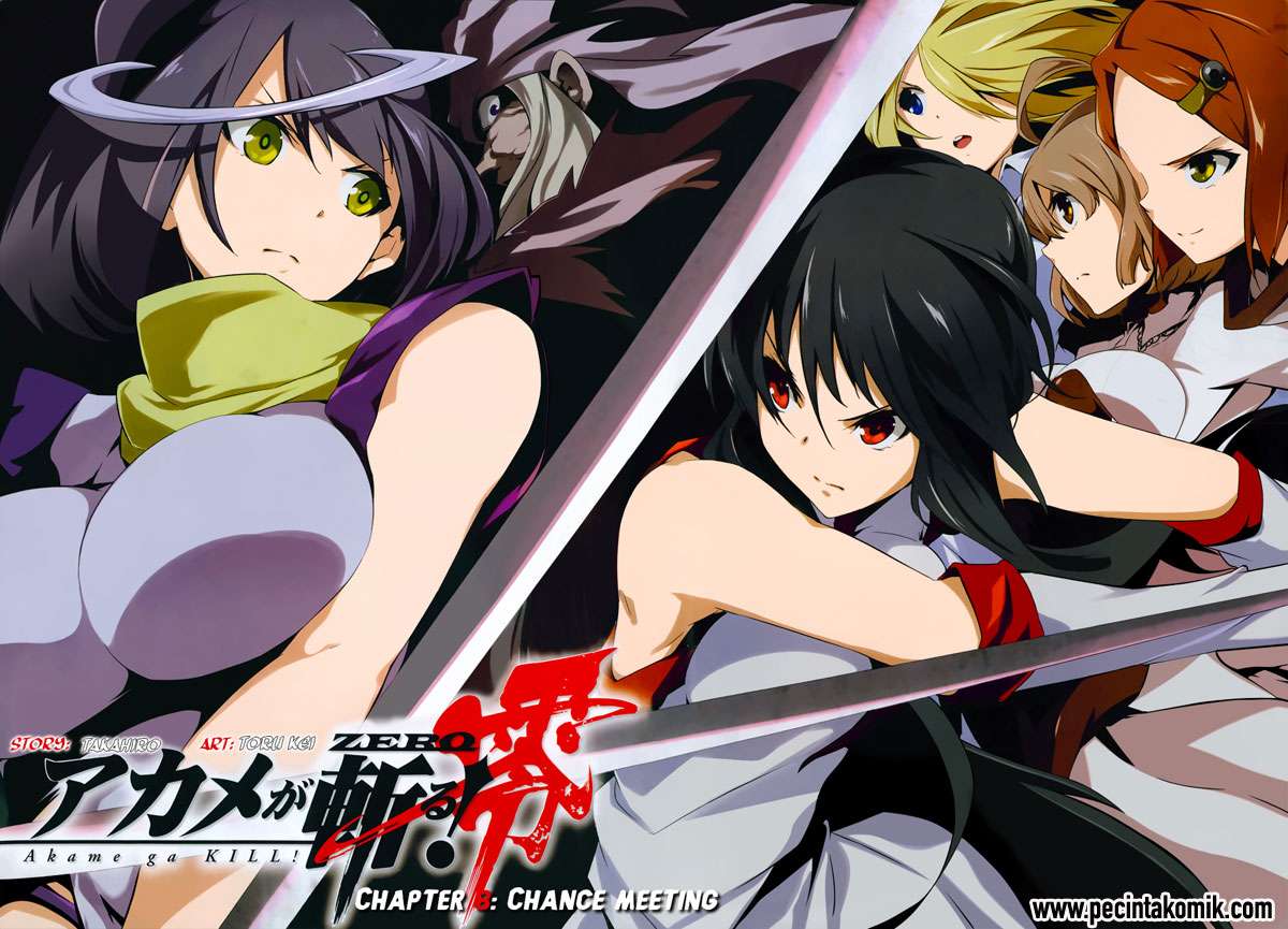 Akame ga Kiru! Zero Chapter 8 Image 4