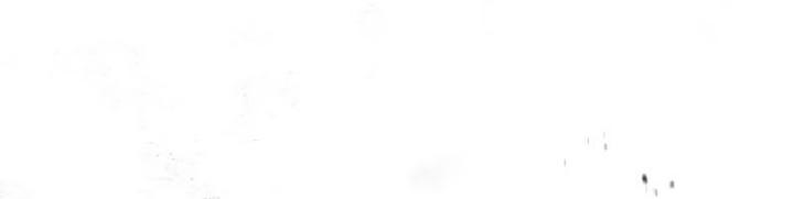 Academy’s Undercover Professor Chapter 28 Image 11