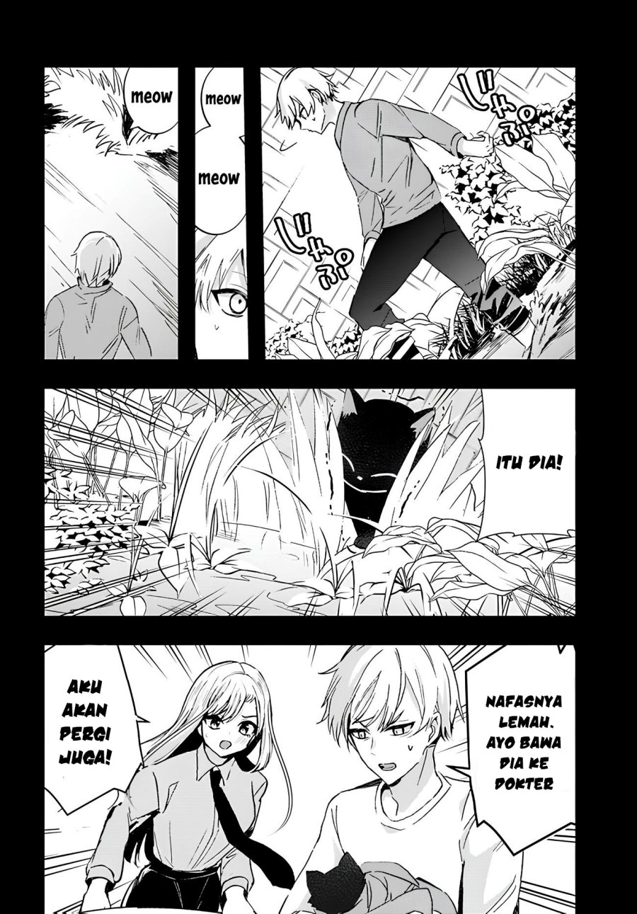 Chiteki de Cool na Kouhai Bijo, Ore no Kai Neko ni naru Chapter 06 Image 3