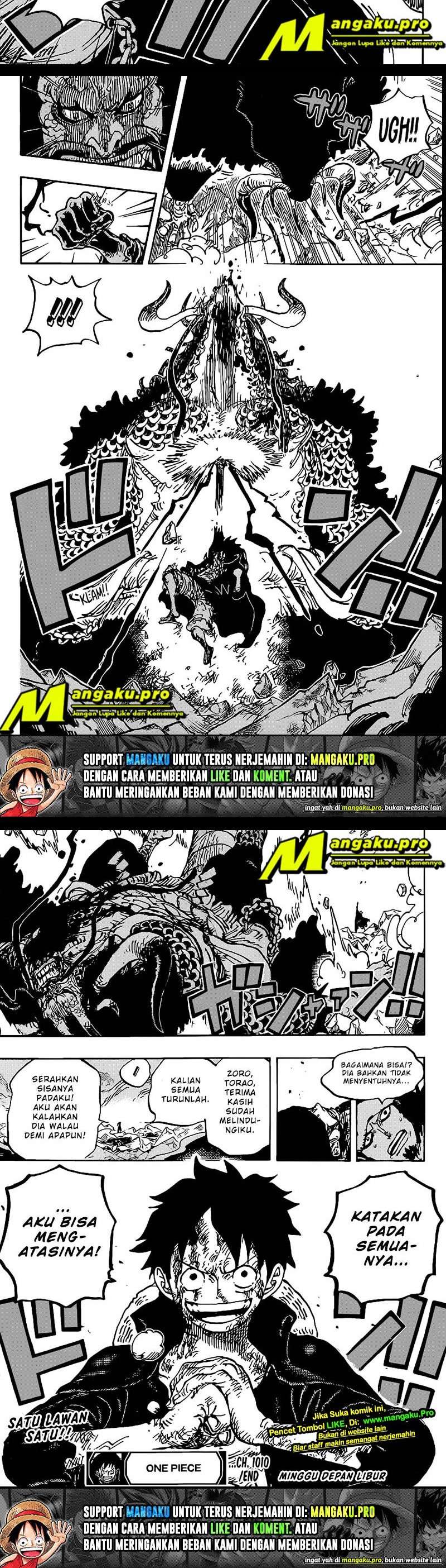 One Piece Chapter 1010 hq Image 6