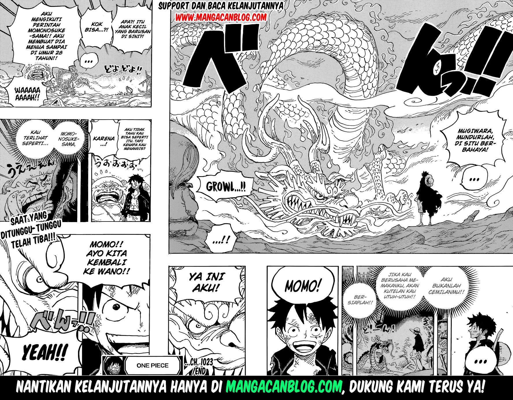 One Piece Chapter 1023 HQ Image 15
