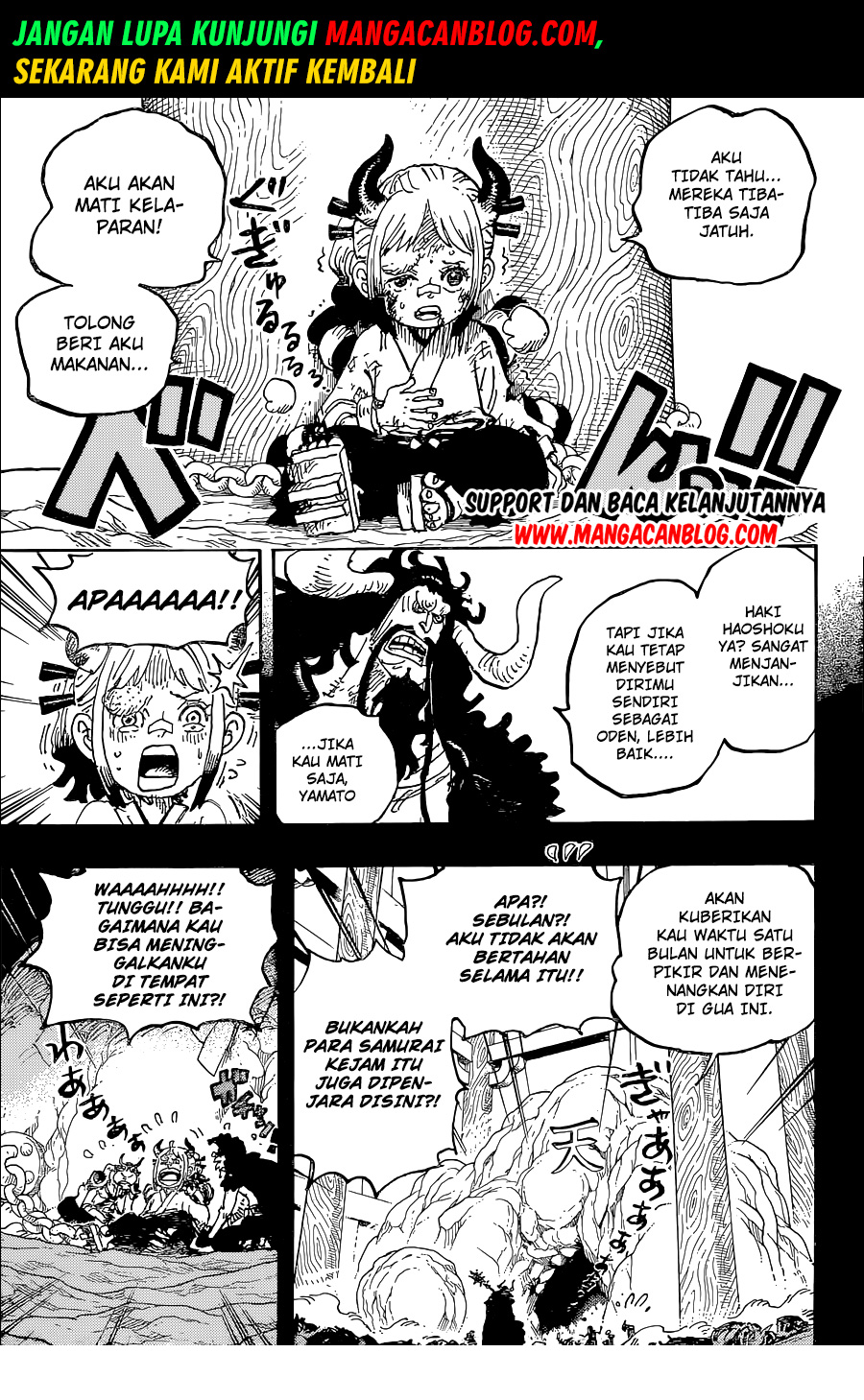 One Piece Chapter 1024 HQ Image 9