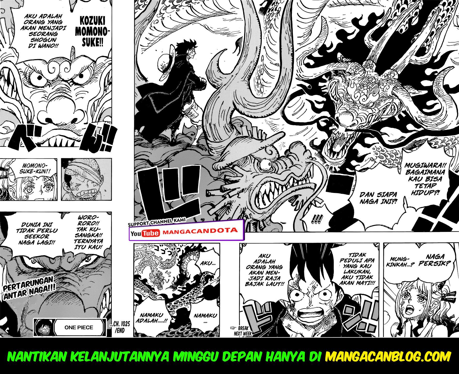 One Piece Chapter 1025 HQ Image 14