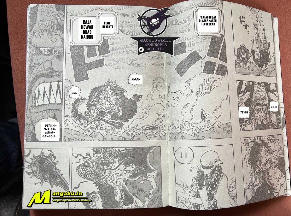 One Piece Chapter 1043 lq Image 1