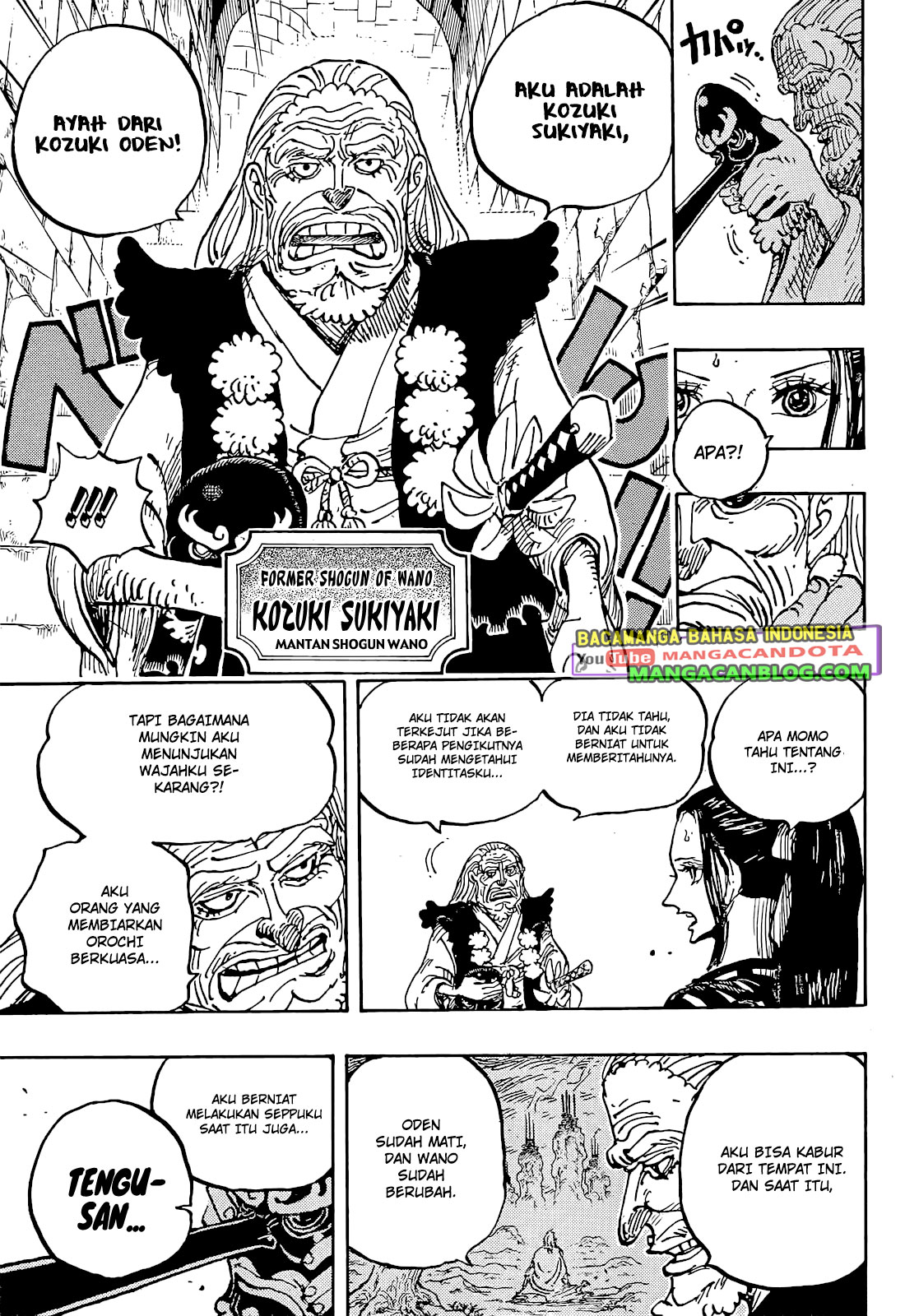 One Piece Chapter 1053 HQ Image 7