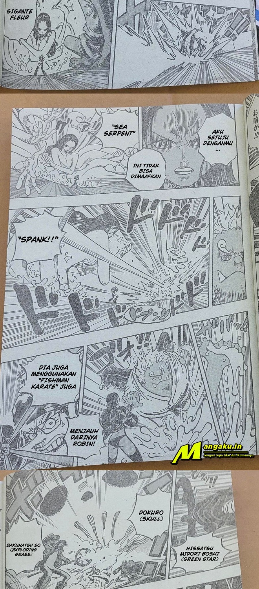 One Piece Chapter 1065 LQ Image 6