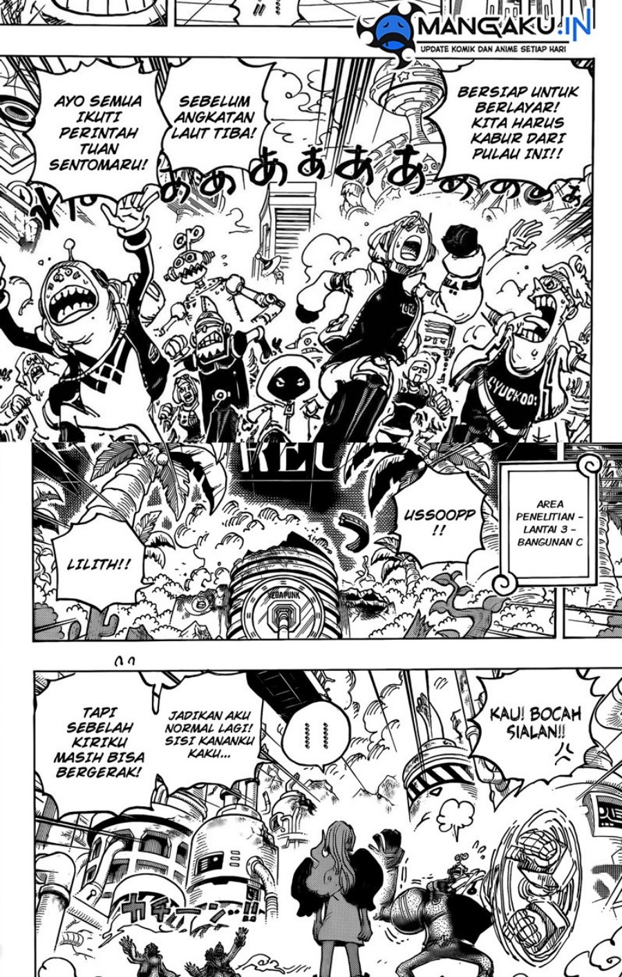 One Piece Chapter 1078 Image 3