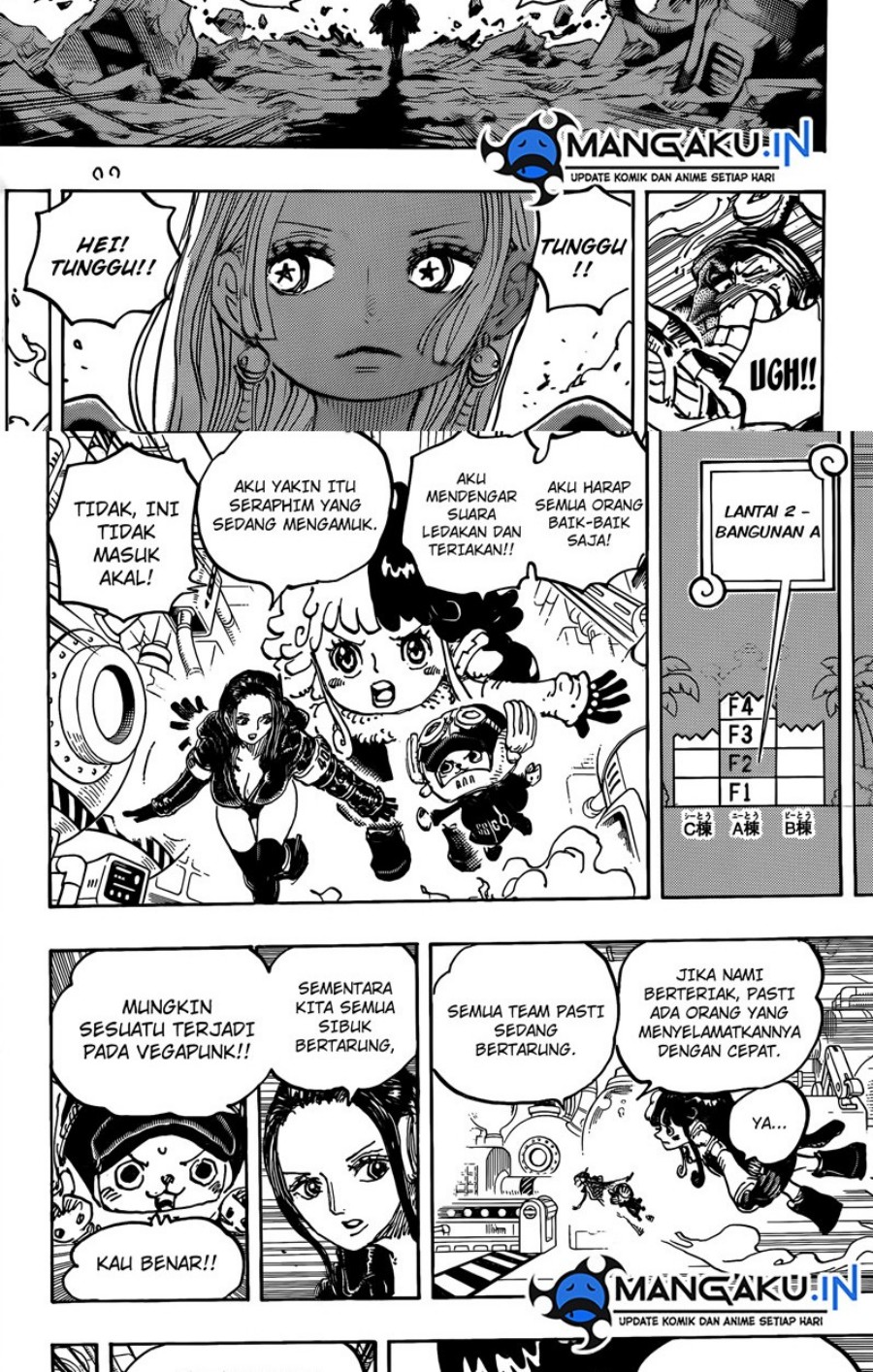 One Piece Chapter 1078 Image 5