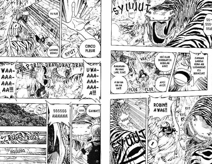 One Piece Chapter 255 Image 8