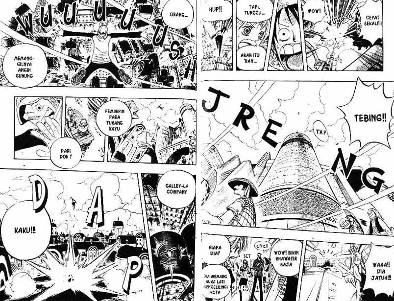 One Piece Chapter 325 Image 9