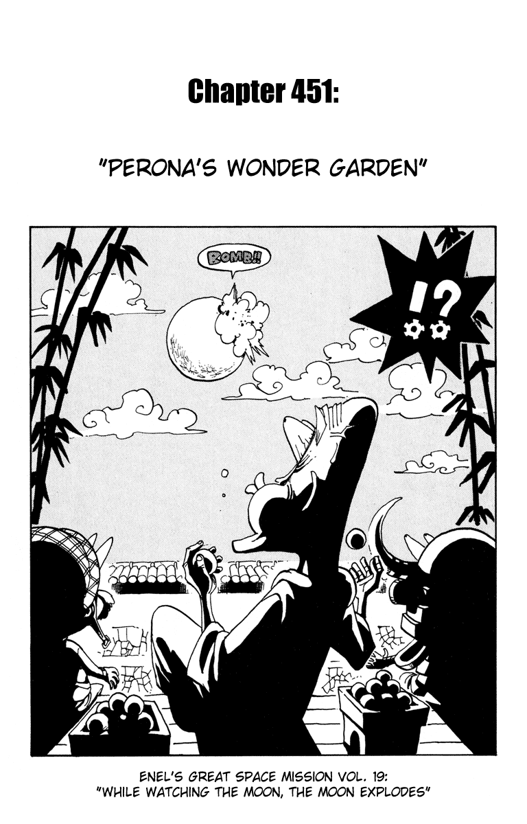 One Piece Chapter 451 Image 0