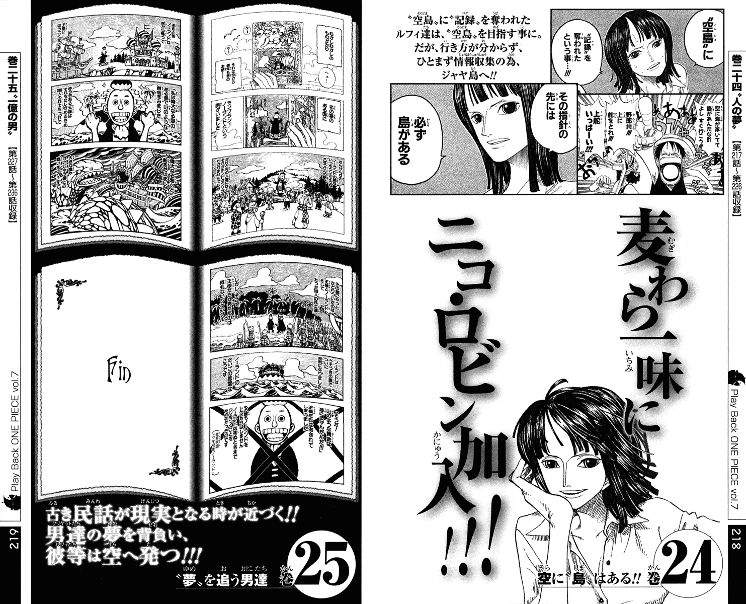 One Piece Chapter 459 Image 24