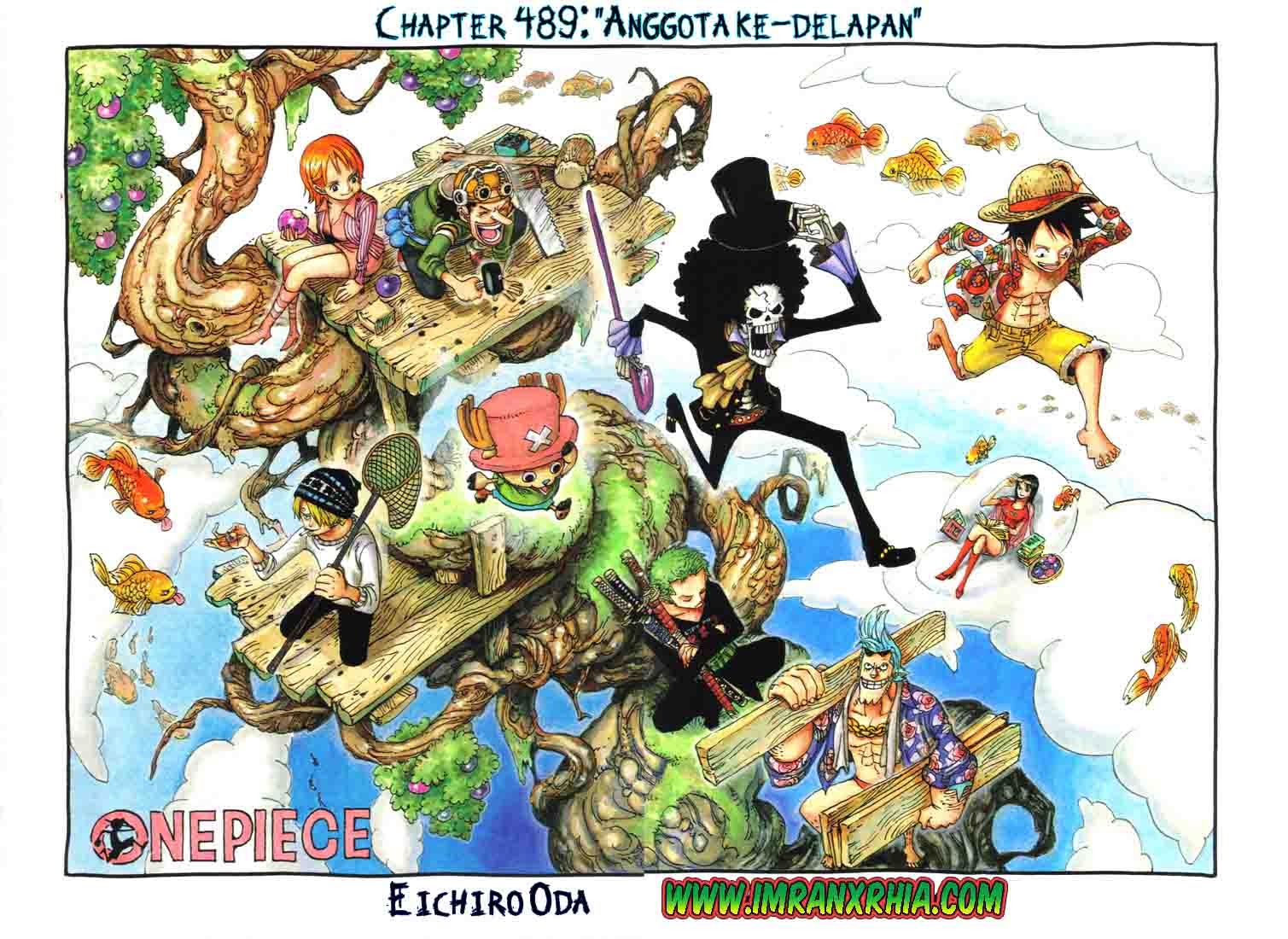 One Piece Chapter 489 Image 0