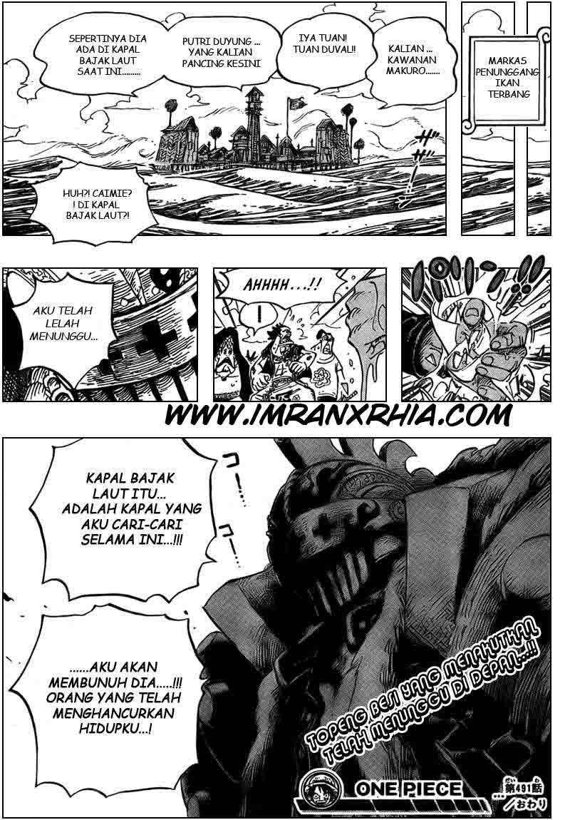 One Piece Chapter 491 Image 18